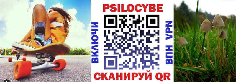 Галлюциногенные грибы мухоморы магазин продажи наркотиков Агрыз